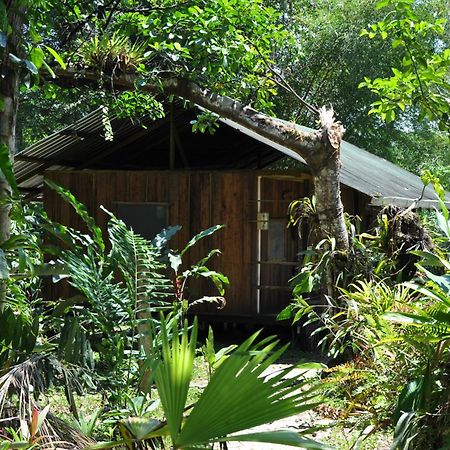 Hakuna Matata Amazon Lodge Archidona Zewnętrze zdjęcie