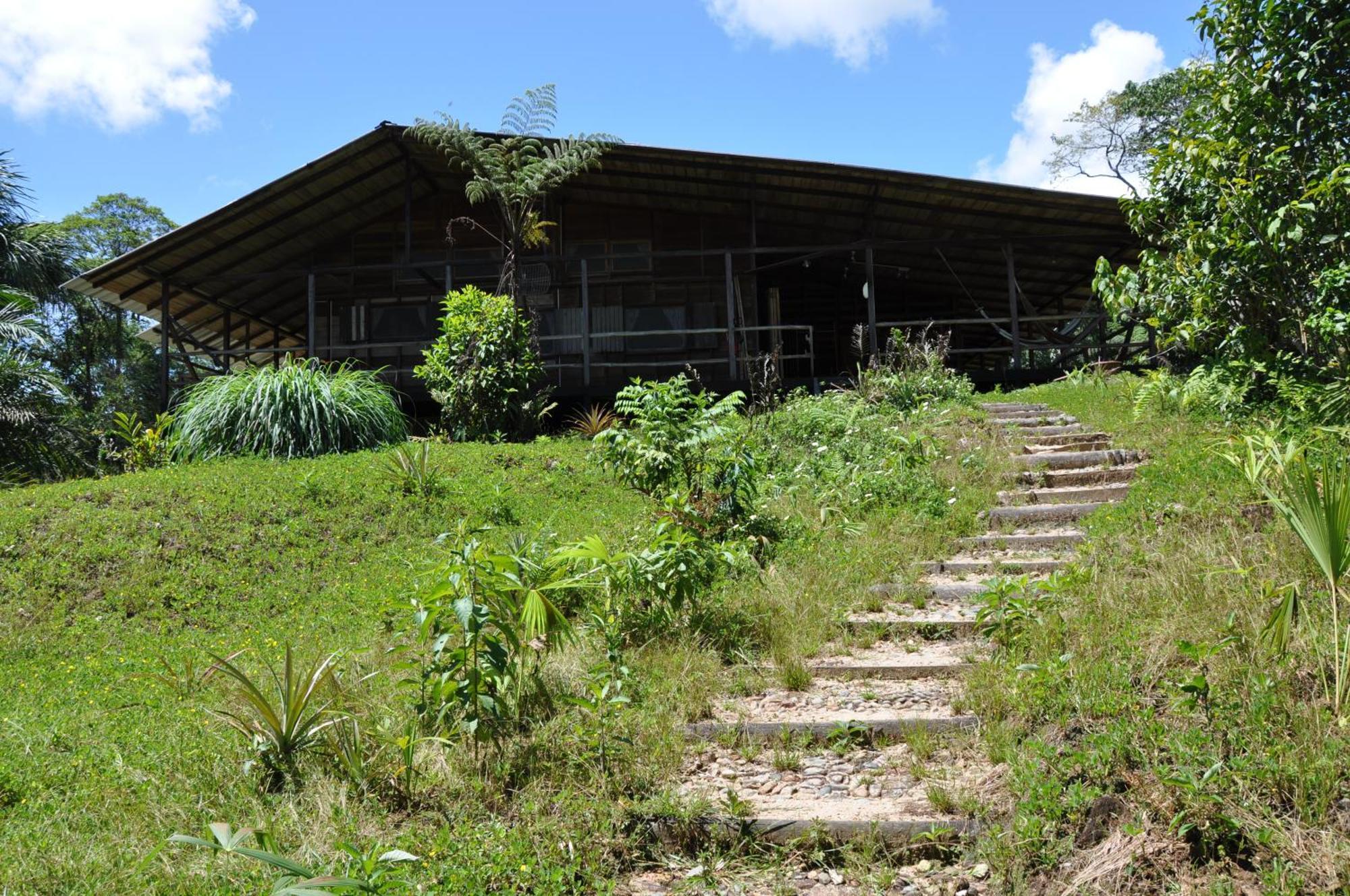 Hakuna Matata Amazon Lodge Archidona Zewnętrze zdjęcie