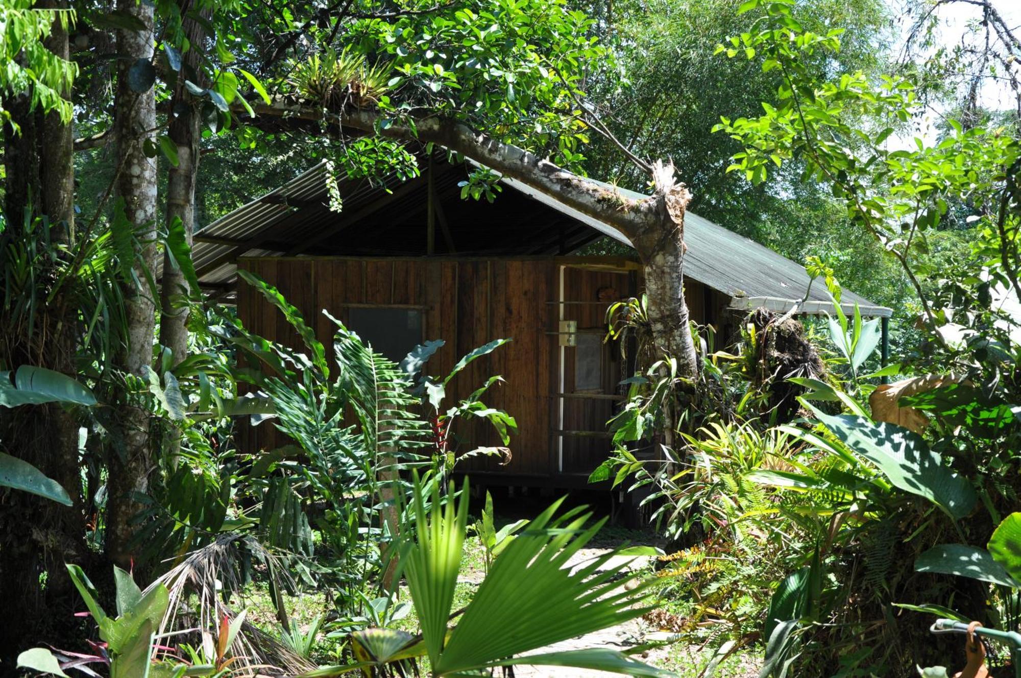 Hakuna Matata Amazon Lodge Archidona Zewnętrze zdjęcie