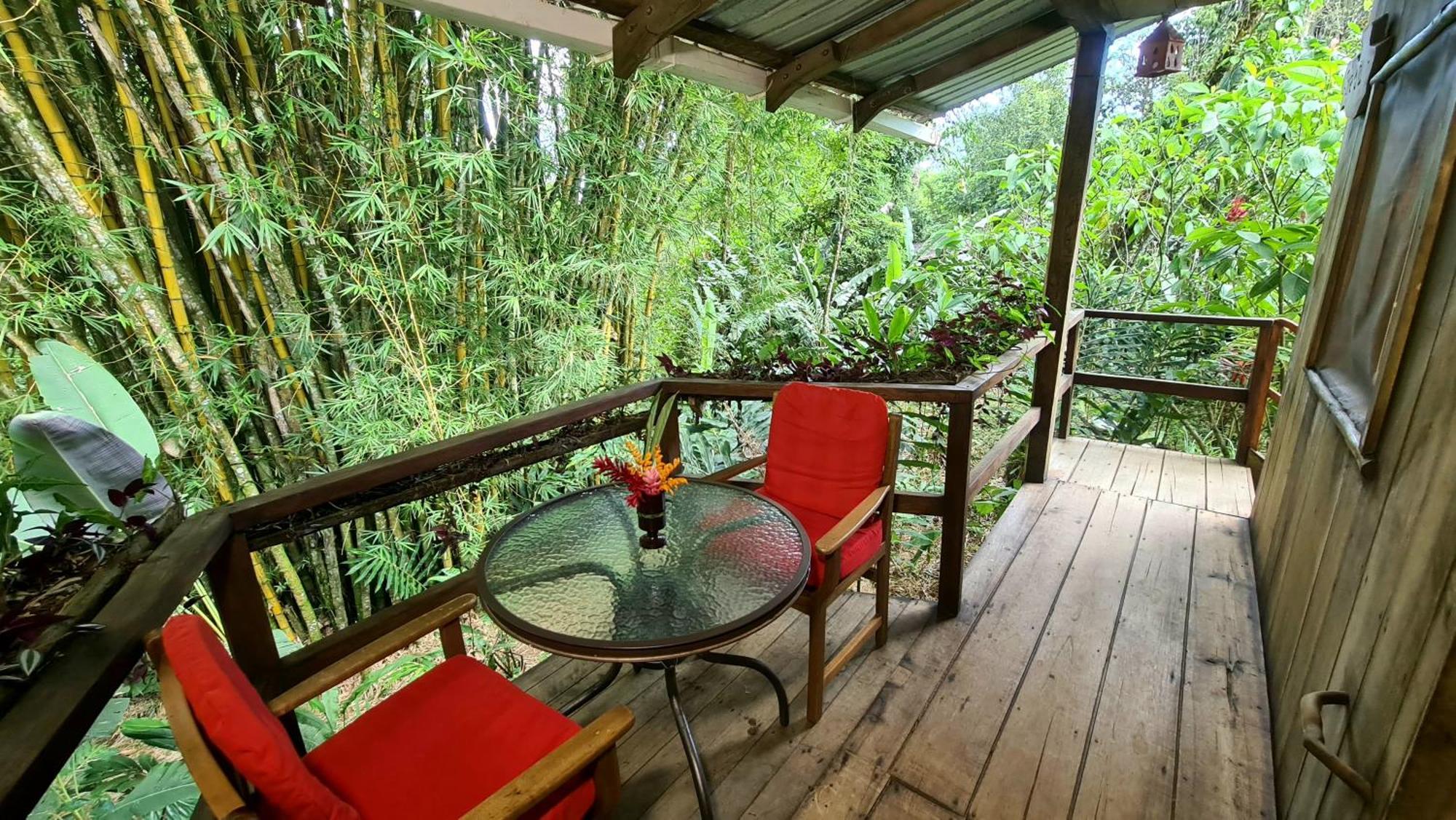 Hakuna Matata Amazon Lodge Archidona Zewnętrze zdjęcie