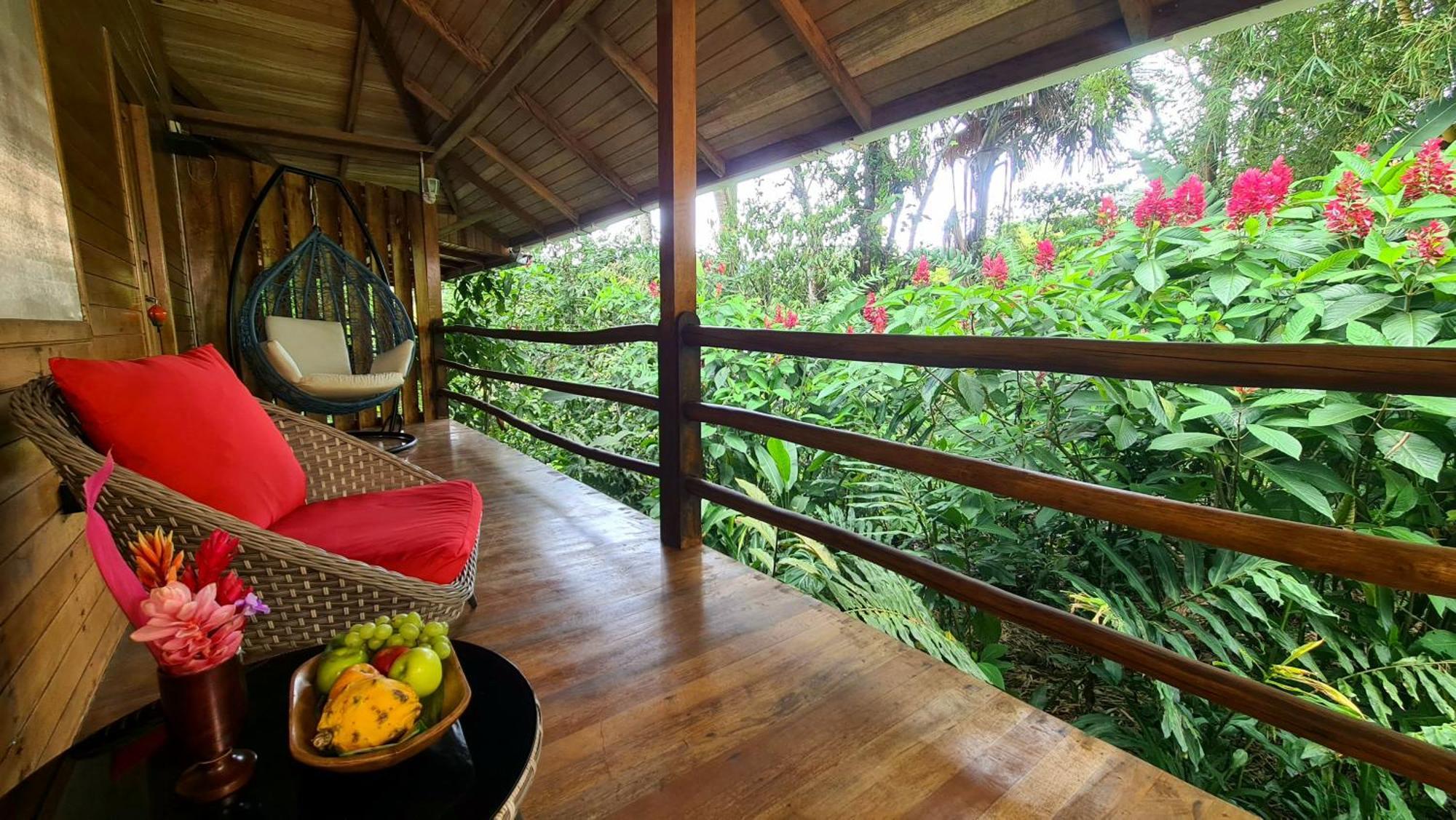 Hakuna Matata Amazon Lodge Archidona Zewnętrze zdjęcie