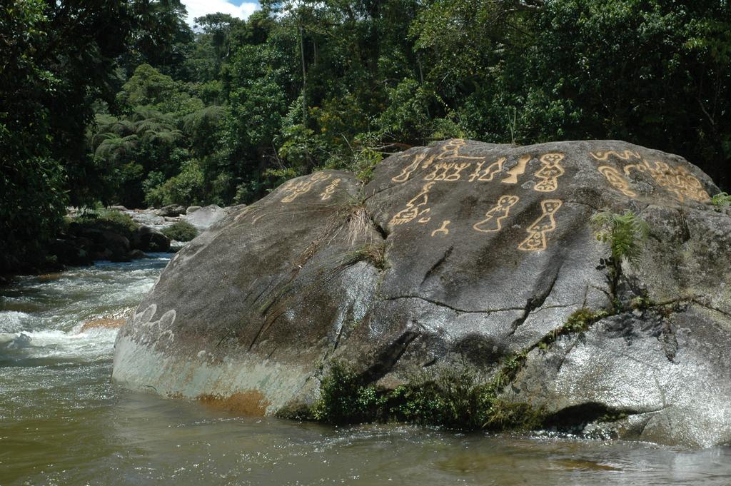 Hakuna Matata Amazon Lodge Archidona Zewnętrze zdjęcie