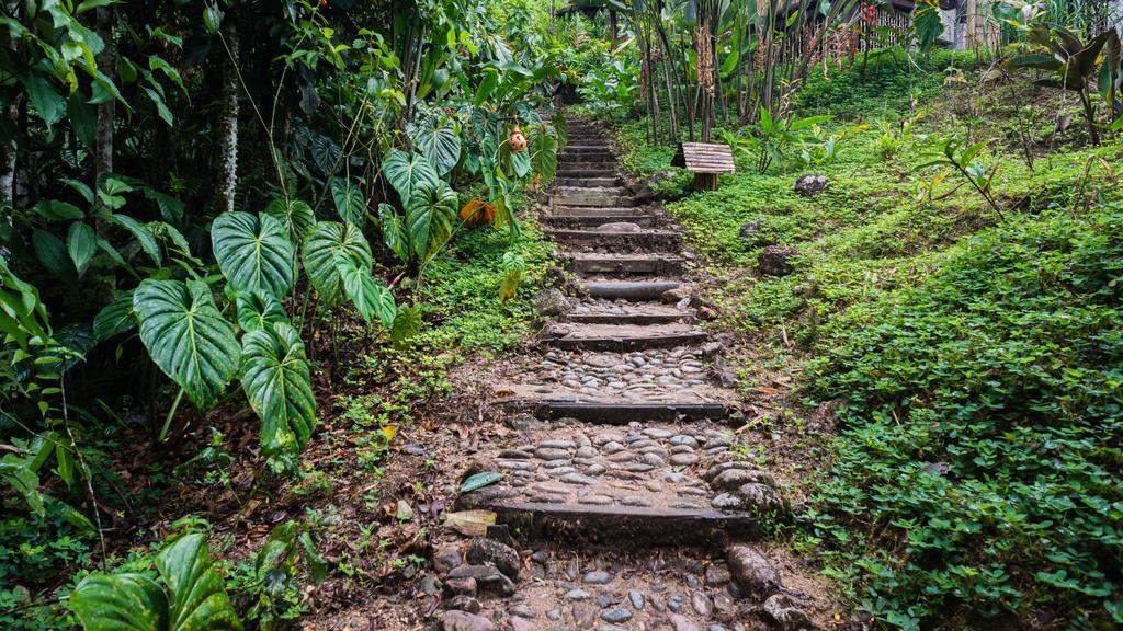 Hakuna Matata Amazon Lodge Archidona Zewnętrze zdjęcie